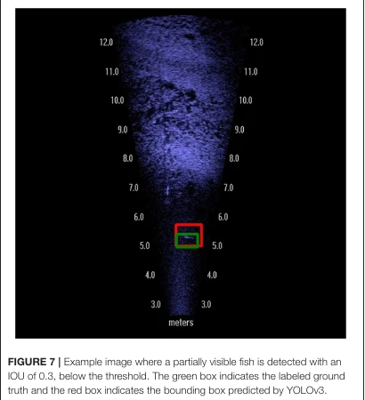 Imaging-sonar frame with ground-truth and predicted fish bounding boxes.